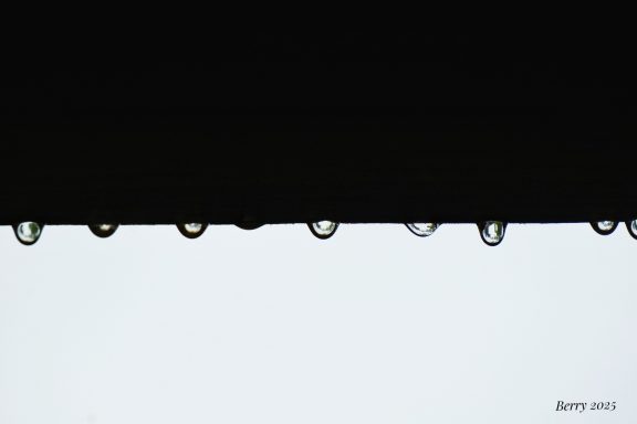 Drips