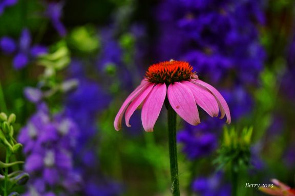 Stand Out