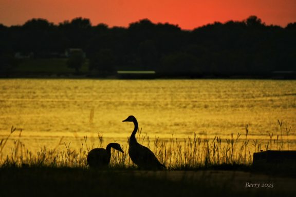 Couple on the Beach