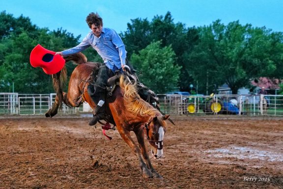 Bronc