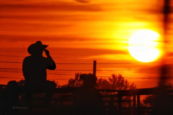 Cowboy in Us All
