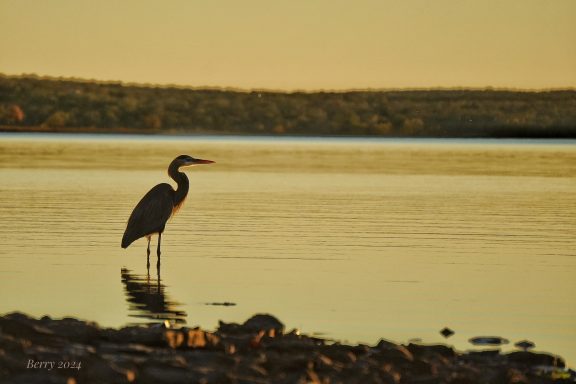 Shallow Water