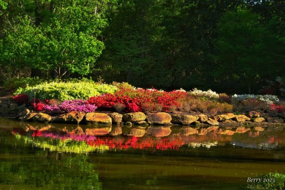 Spring Explosion