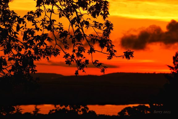 Orange Sky